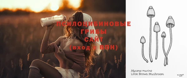 амф Бронницы