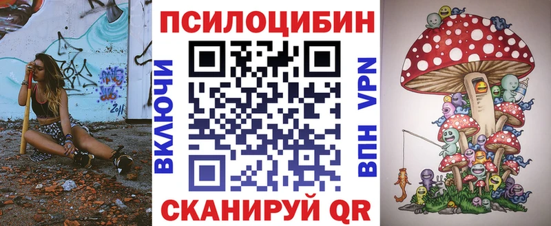 даркнет сайт  Электрогорск  Галлюциногенные грибы мицелий 